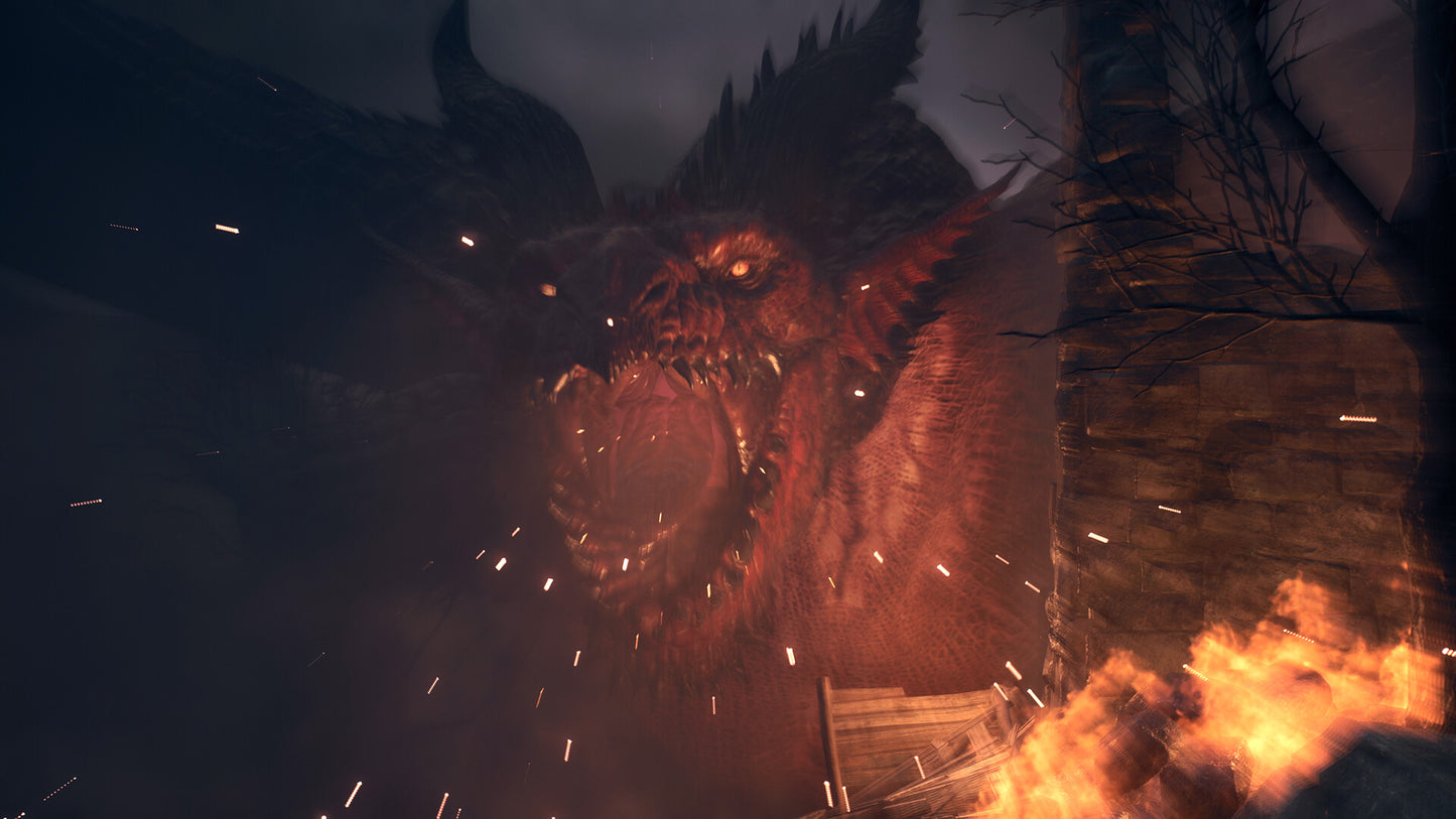 [JP]Dragon's Dogma 2(Steam)