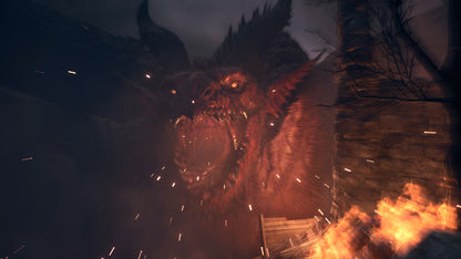 [JP]Dragon's Dogma 2(Steam)