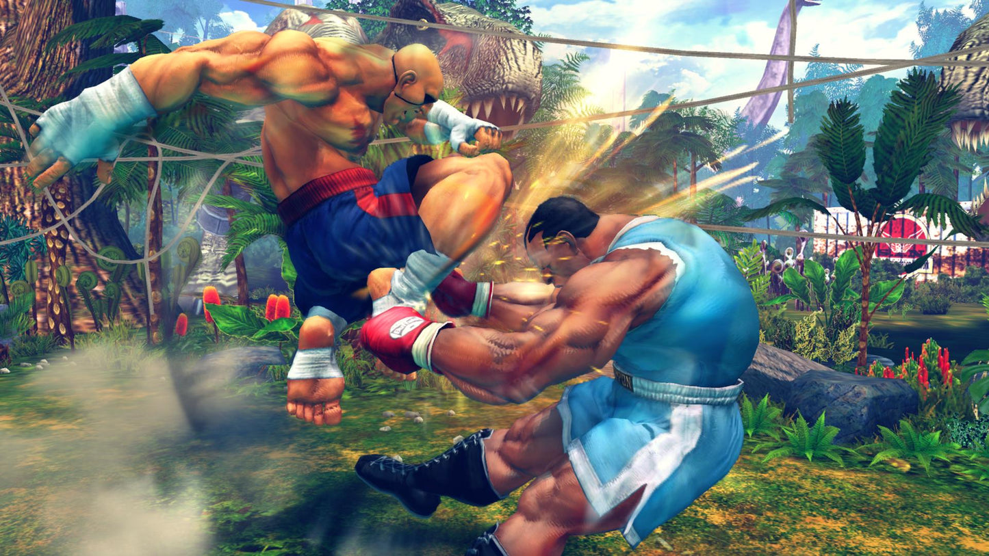 [JP]Ultra Street Fighter IV(Steam)